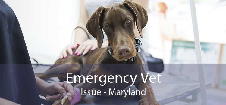 Emergency Vet Issue - Maryland