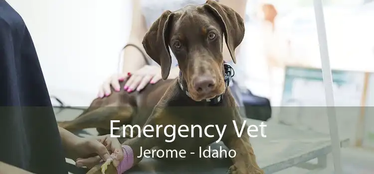 Emergency Vet Jerome - Idaho