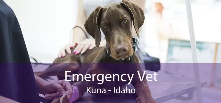 Emergency Vet Kuna - Idaho