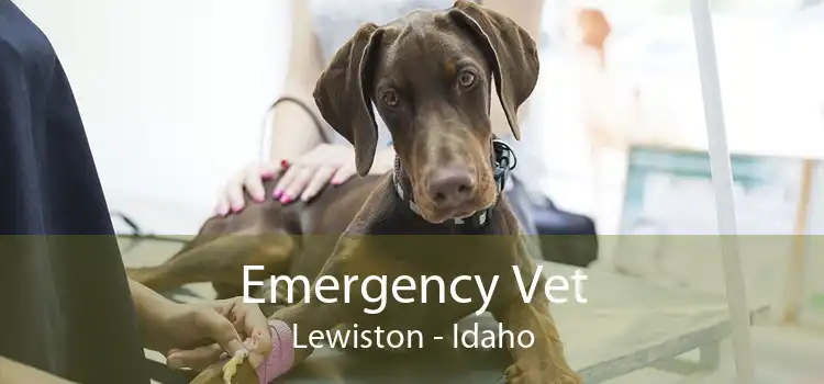 Emergency Vet Lewiston - Idaho