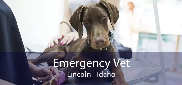 Emergency Vet Lincoln - Idaho