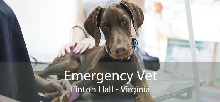 Emergency Vet Linton Hall - Virginia