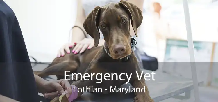 Emergency Vet Lothian - Maryland
