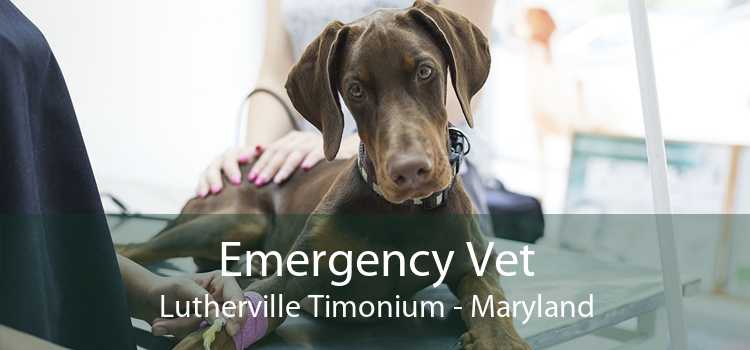 Emergency Vet Lutherville Timonium - Maryland