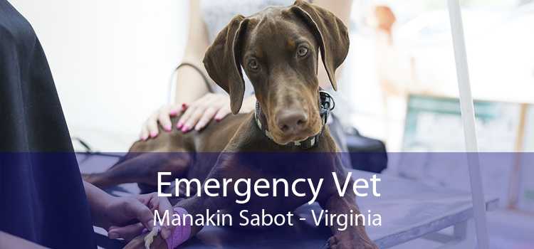 Emergency Vet Manakin Sabot - Virginia
