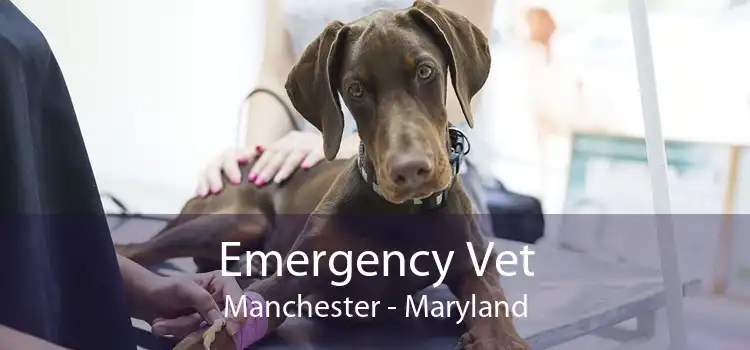 Emergency Vet Manchester - Maryland