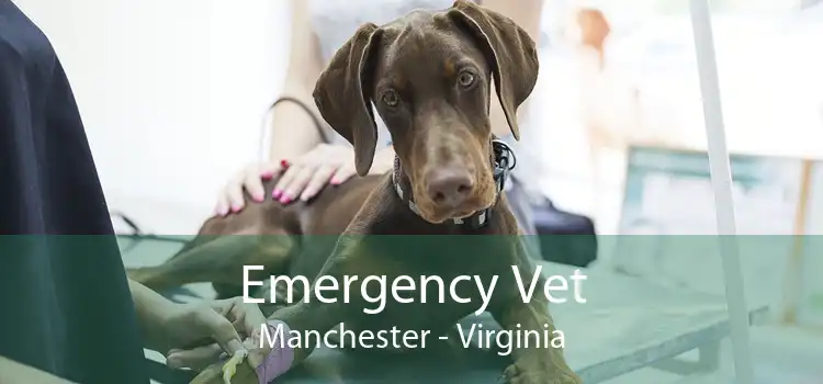 Emergency Vet Manchester - Virginia