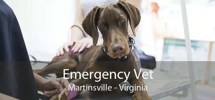 Emergency Vet Martinsville - Virginia