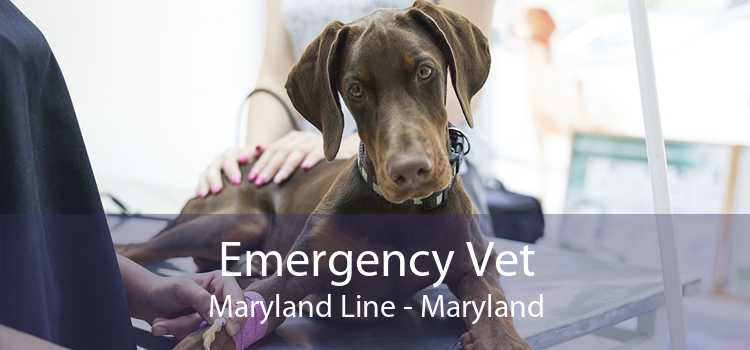 Emergency Vet Maryland Line - Maryland