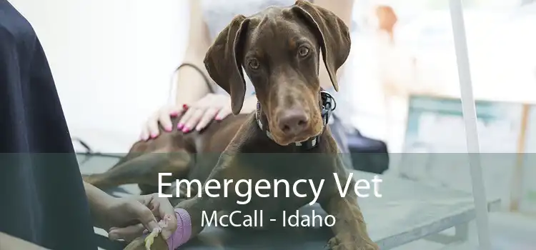 Emergency Vet McCall - Idaho