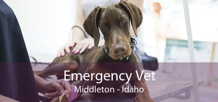 Emergency Vet Middleton - Idaho