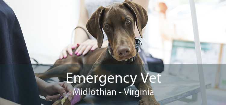 Emergency Vet Midlothian - 24 Hour Emergency Vet Near Me