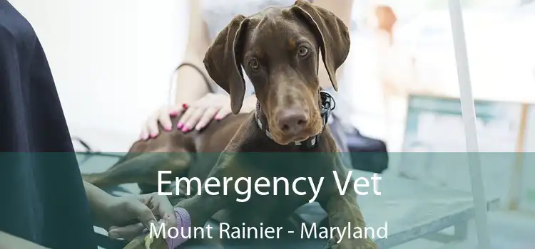 Emergency Vet Mount Rainier - Maryland