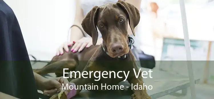 Emergency Vet Mountain Home - Idaho
