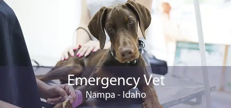 Emergency Vet Nampa - Idaho