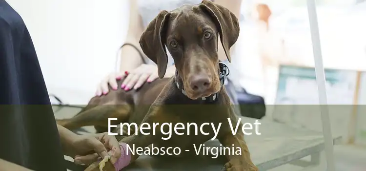 Emergency Vet Neabsco - Virginia