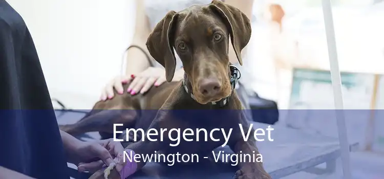 Emergency Vet Newington - Virginia