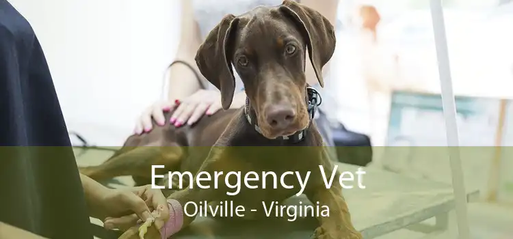 Emergency Vet Oilville - Virginia