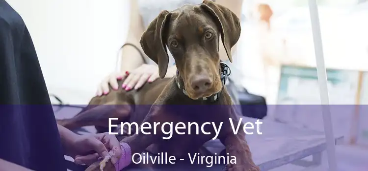 Emergency Vet Oilville - Virginia