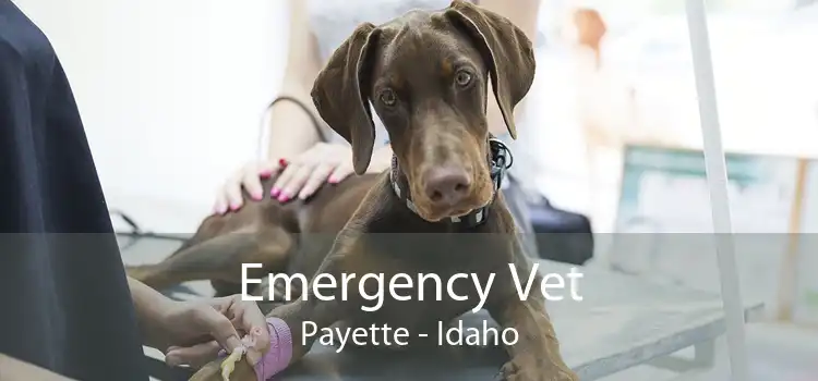 Emergency Vet Payette - Idaho