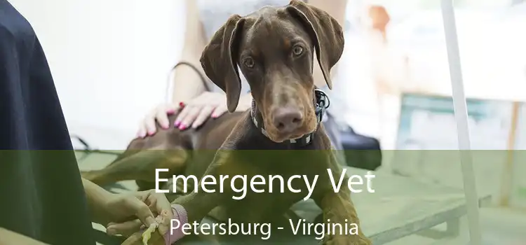 Emergency Vet Petersburg - Virginia