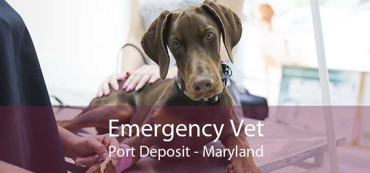 Emergency Vet Port Deposit - Maryland
