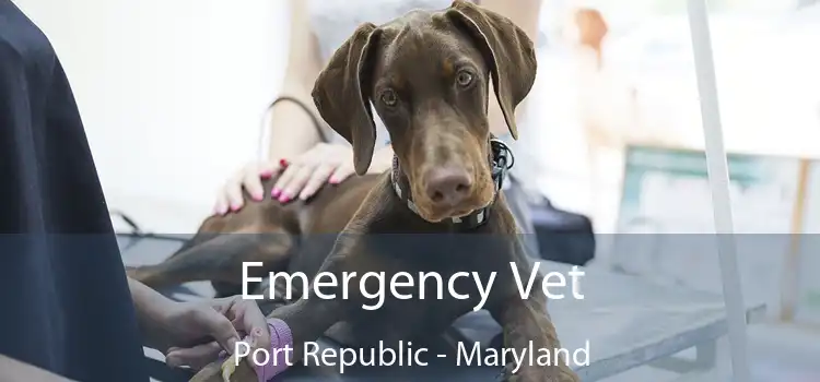 Emergency Vet Port Republic - Maryland