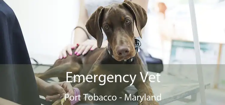 Emergency Vet Port Tobacco - Maryland