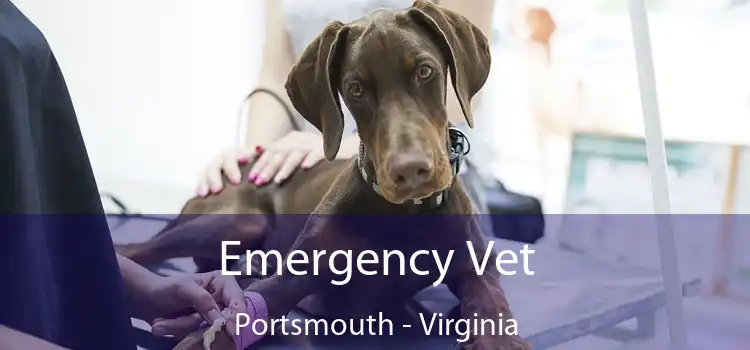 Emergency Vet Portsmouth - Virginia