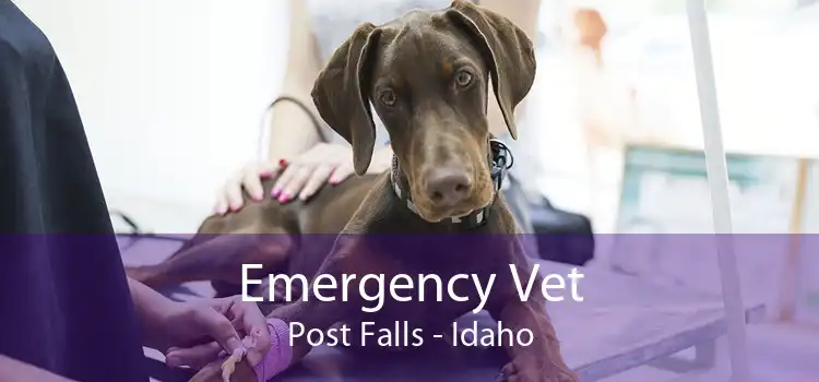 Emergency Vet Post Falls - Idaho