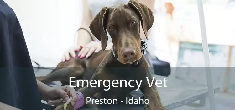 Emergency Vet Preston - Idaho