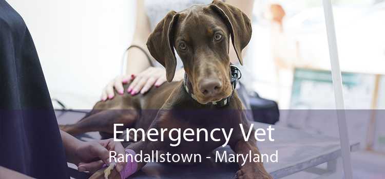 Emergency Vet Randallstown - Maryland