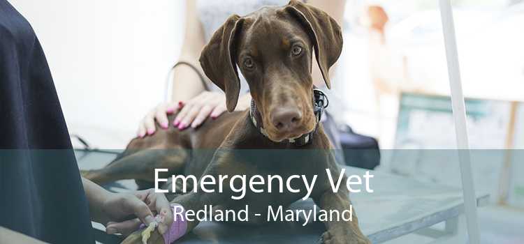 Emergency Vet Redland - Maryland