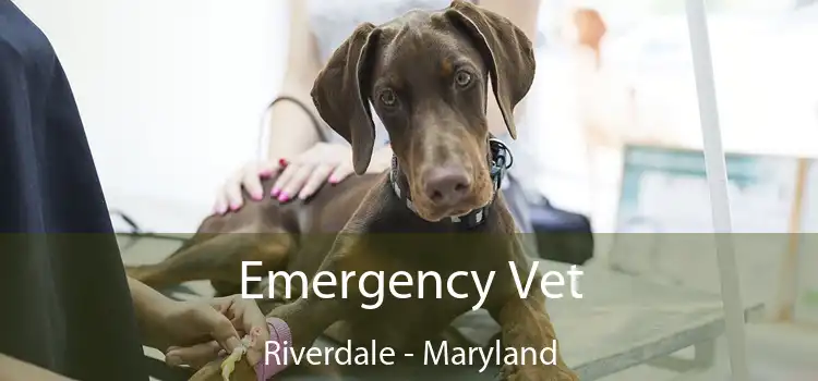 Emergency Vet Riverdale - Maryland