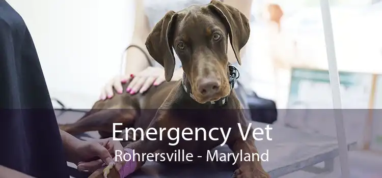 Emergency Vet Rohrersville - Maryland