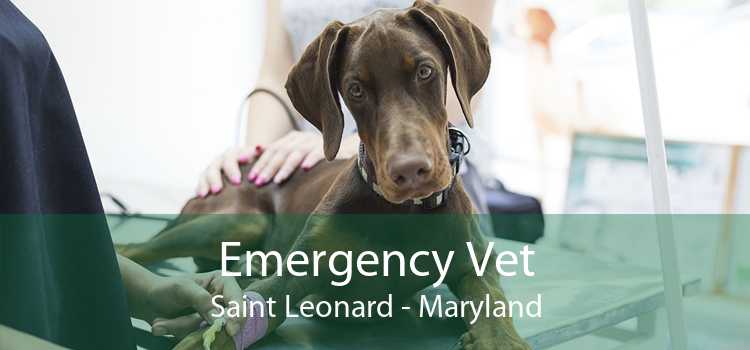 Emergency Vet Saint Leonard - Maryland