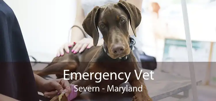 Emergency Vet Severn - Maryland