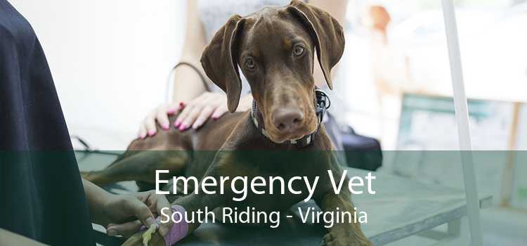 Emergency Vet South Riding - Virginia