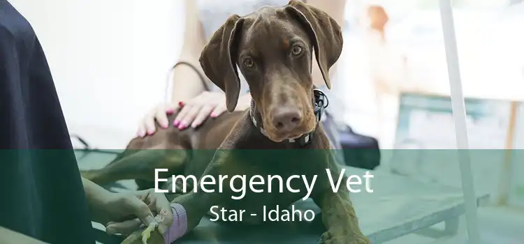Emergency Vet Star - Idaho