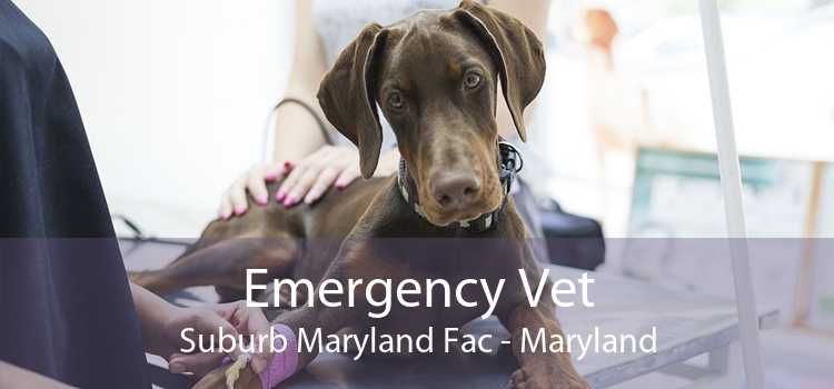Emergency Vet Suburb Maryland Fac - Maryland