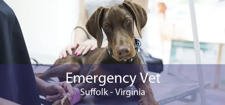Emergency Vet Suffolk - Virginia