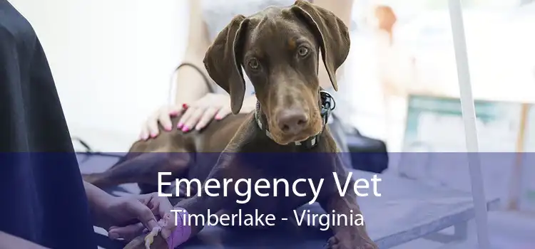Emergency Vet Timberlake - Virginia