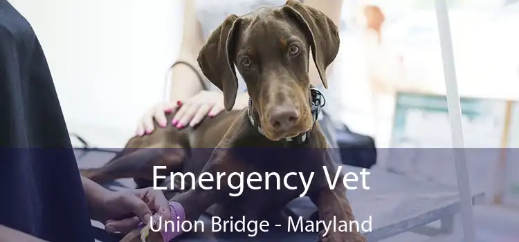 Emergency Vet Union Bridge - Maryland