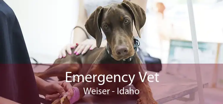 Emergency Vet Weiser - Idaho