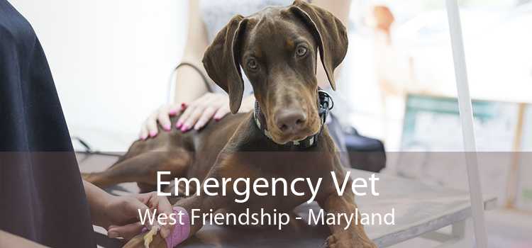 Emergency Vet West Friendship - Maryland