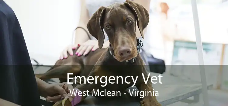 Emergency Vet West Mclean - Virginia
