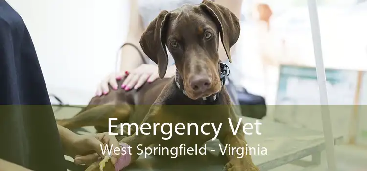 Emergency Vet West Springfield - Virginia