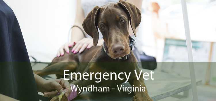 Emergency Vet Wyndham - Virginia