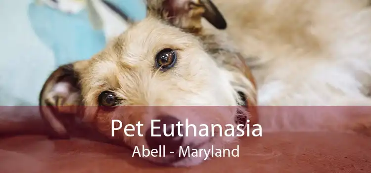 Pet Euthanasia Abell - Maryland