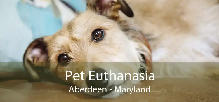 Pet Euthanasia Aberdeen - Maryland